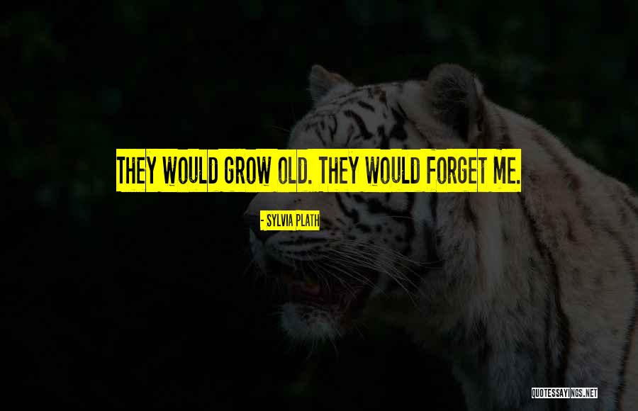 Isami Aldini Quotes By Sylvia Plath Isami Aldini Quotes By Sylvia Plath