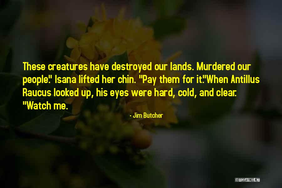 Isana Quotes By Jim Butcher Isana Quotes By Jim Butcher