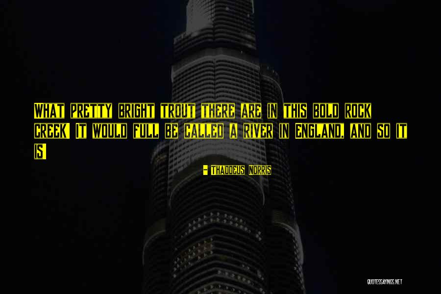 Iscentual Amour Quotes By Thaddeus Norris Iscentual Amour Quotes By Thaddeus Norris