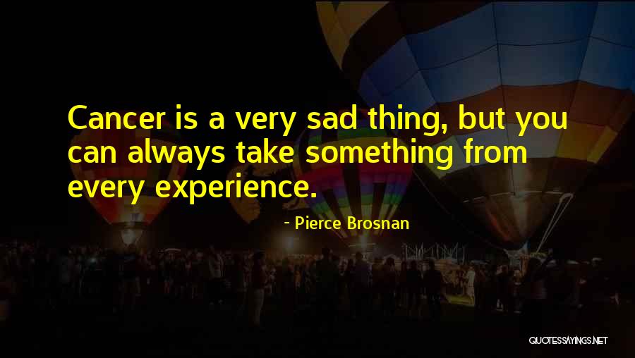 Ischero Quotes By Pierce Brosnan Ischero Quotes By Pierce Brosnan