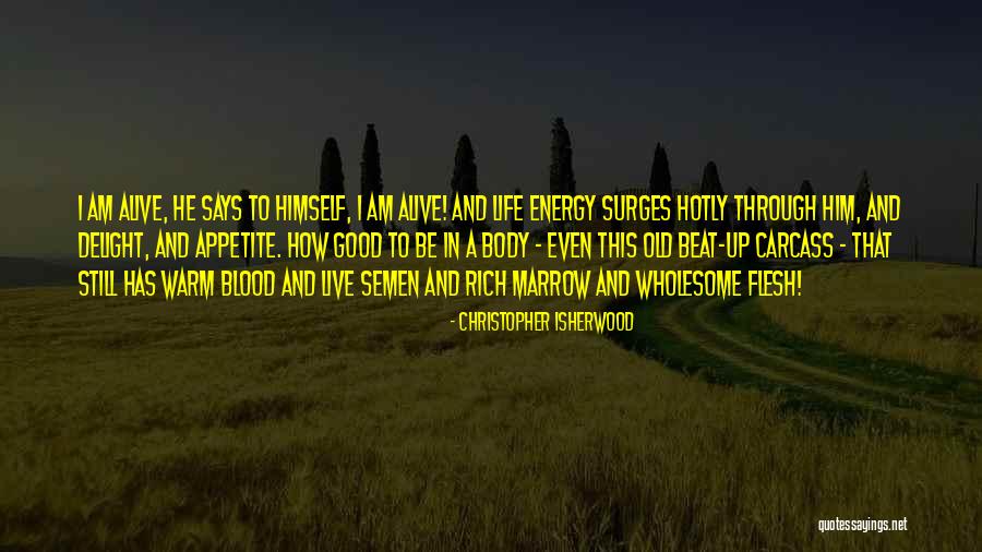 Isherwood Christopher Quotes By Christopher Isherwood Isherwood Christopher Quotes By Christopher Isherwood