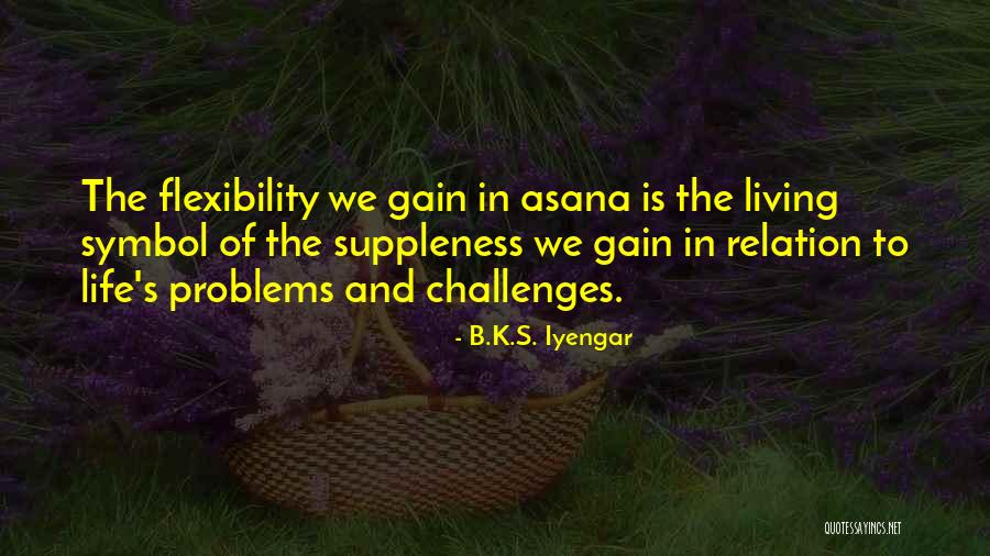 Ishimine Johnson Quotes By B.K.S. Iyengar