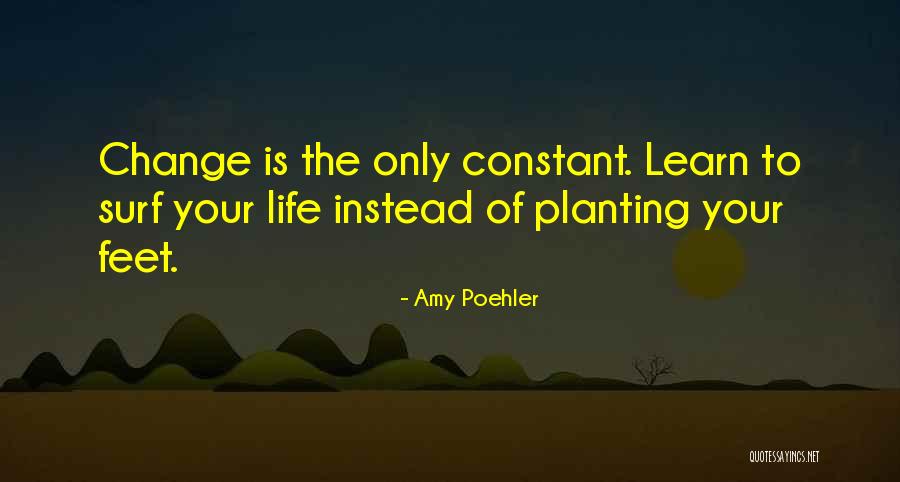 Ishq Memorable Quotes By Amy Poehler