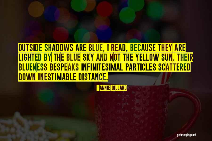 Ishtew Quotes By Annie Dillard Ishtew Quotes By Annie Dillard