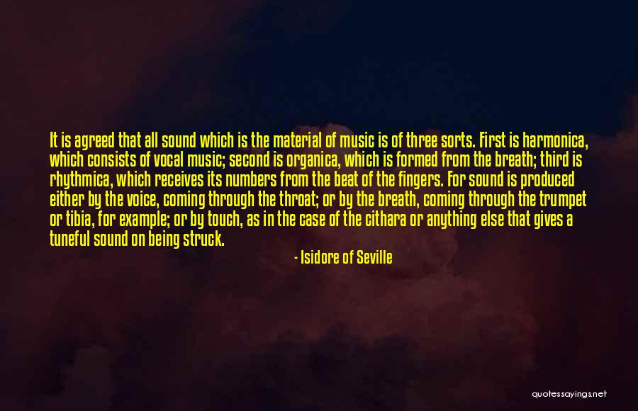 Isidore Of Seville Quotes 1867469