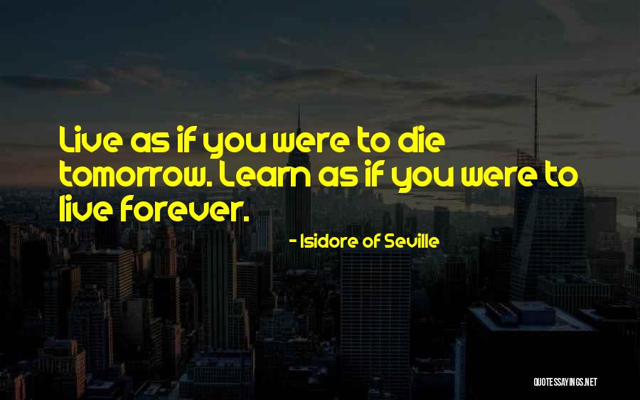 Isidore Of Seville Quotes 710663