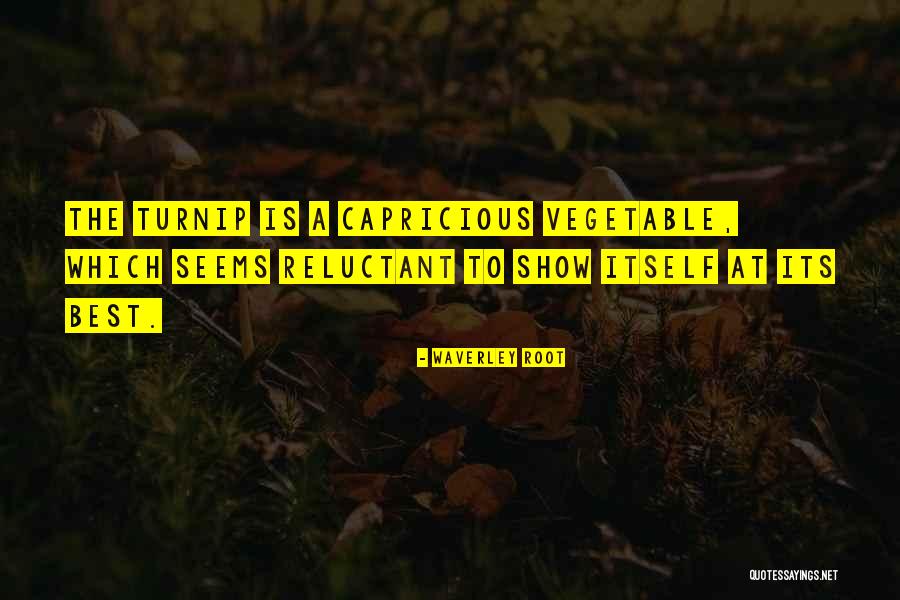 Isidra Sabio Quotes By Waverley Root Isidra Sabio Quotes By Waverley Root