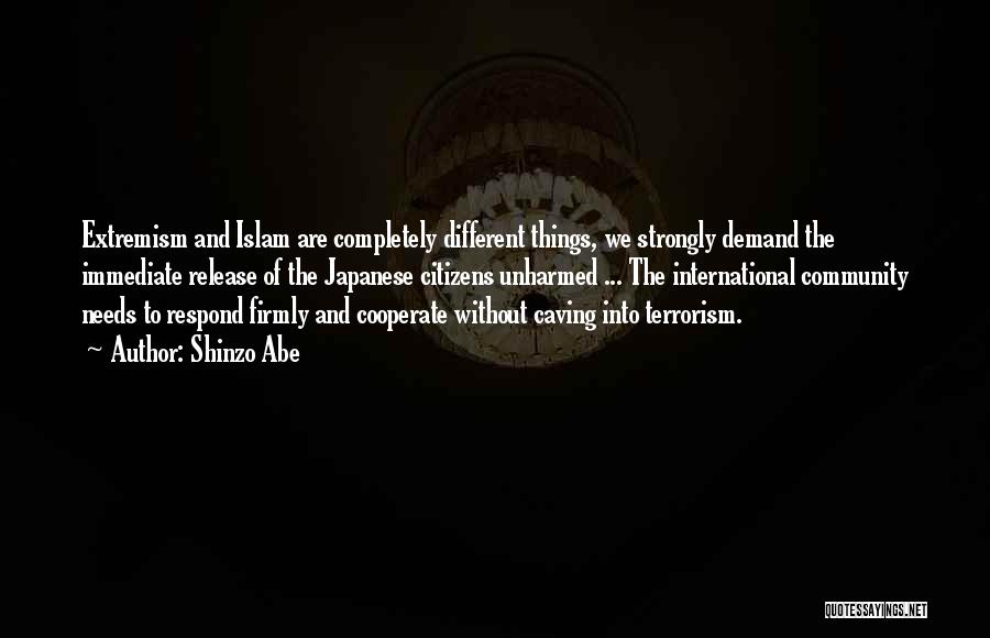 Islam And Terrorism Quotes By Shinzo Abe