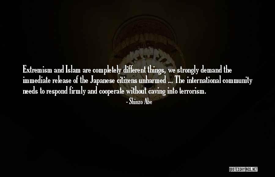 Islam And Terrorism Quotes By Shinzo Abe