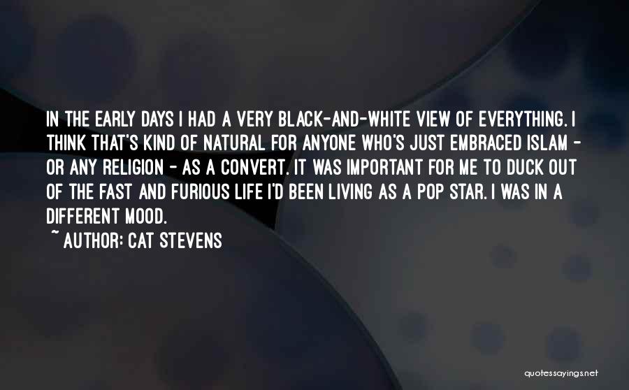 Islam Life Quotes By Cat Stevens