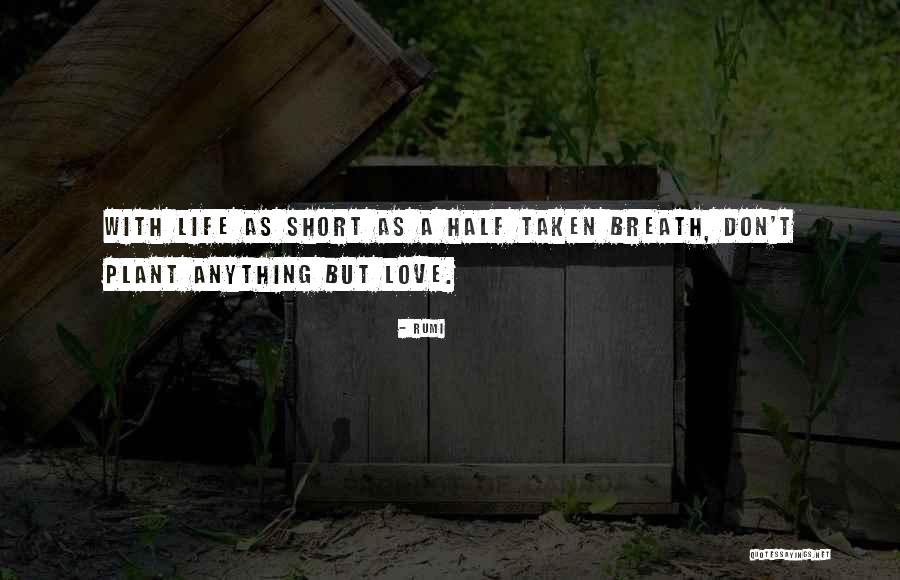 Islam Love Quotes By Rumi Islam Love Quotes By Rumi