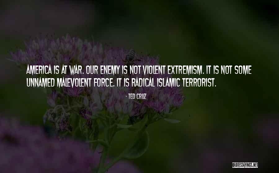 Islamic Extremism Quotes By Ted Cruz