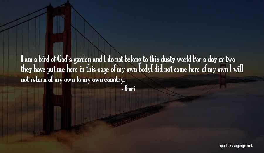 Islamic God Quotes By Rumi