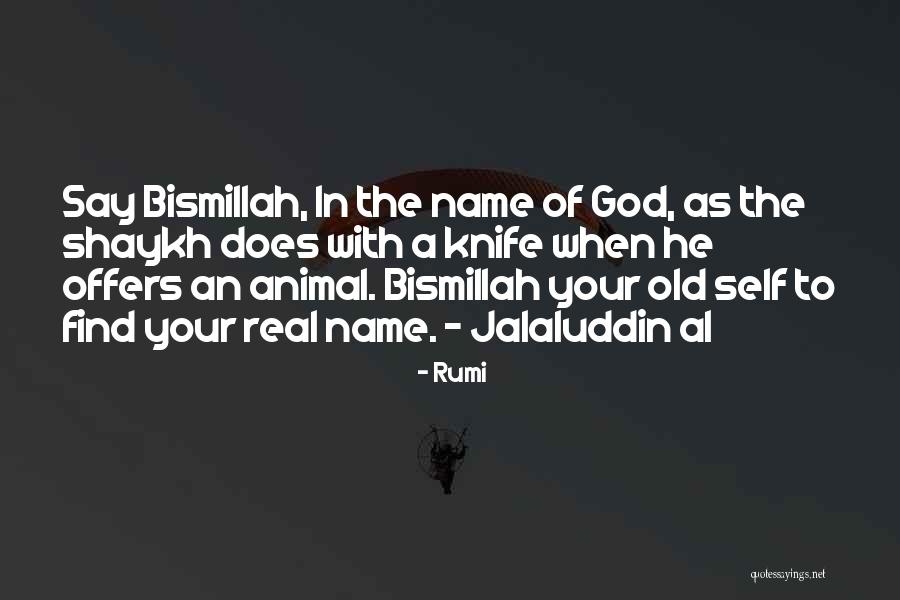 Islamic God Quotes By Rumi Islamic God Quotes By Rumi