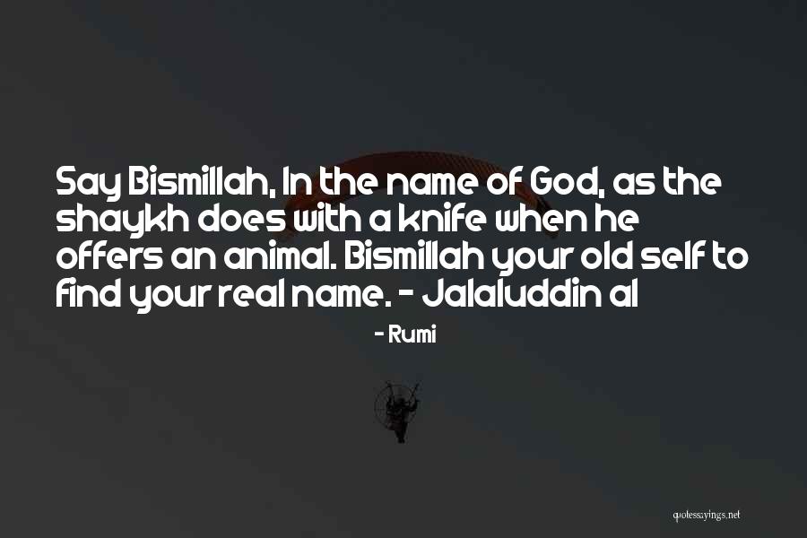 Islamic God Quotes By Rumi