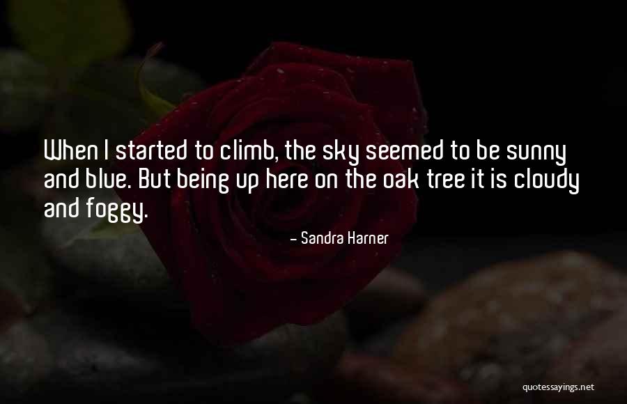 Islamic Jerusalem Quotes By Sandra Harner Islamic Jerusalem Quotes By Sandra Harner