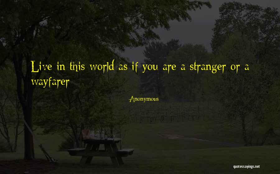 Islamic Lifestyle Quotes By Anonymous Islamic Lifestyle Quotes By Anonymous