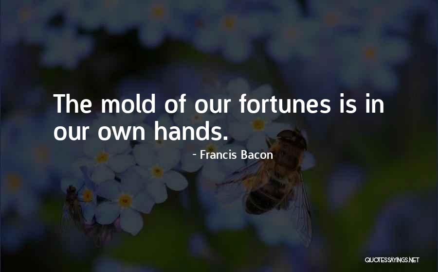 Islamic Martyrdom Quotes By Francis Bacon Islamic Martyrdom Quotes By Francis Bacon