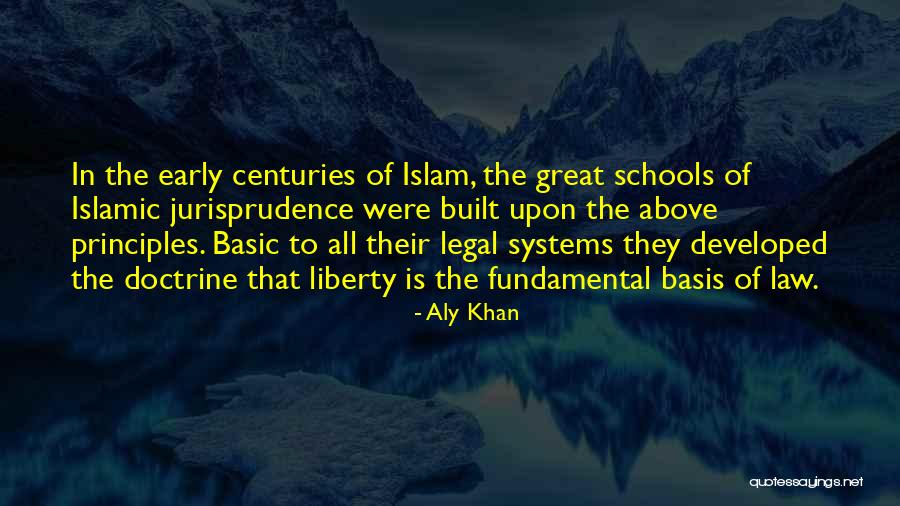 Islamic Principles Quotes By Aly Khan