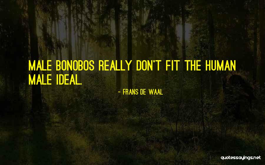 Island In Lotf Quotes By Frans De Waal Island In Lotf Quotes By Frans De Waal