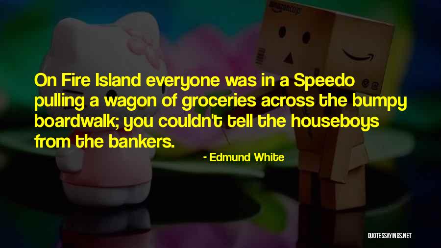 Island Of Fire Quotes By Edmund White Island Of Fire Quotes By Edmund White