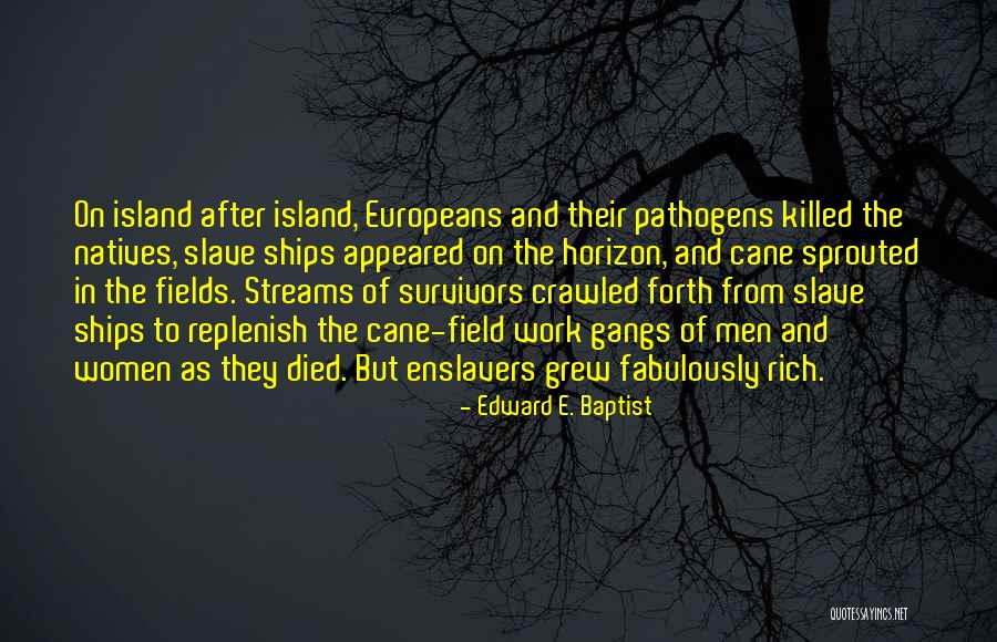 Island Quotes By Edward E. Baptist Island Quotes By Edward E. Baptist
