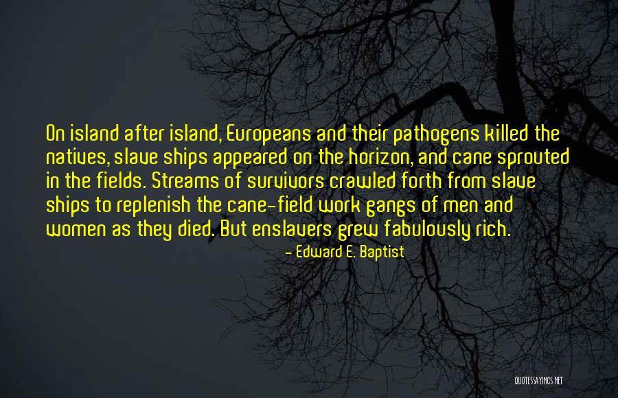 Island Quotes By Edward E. Baptist