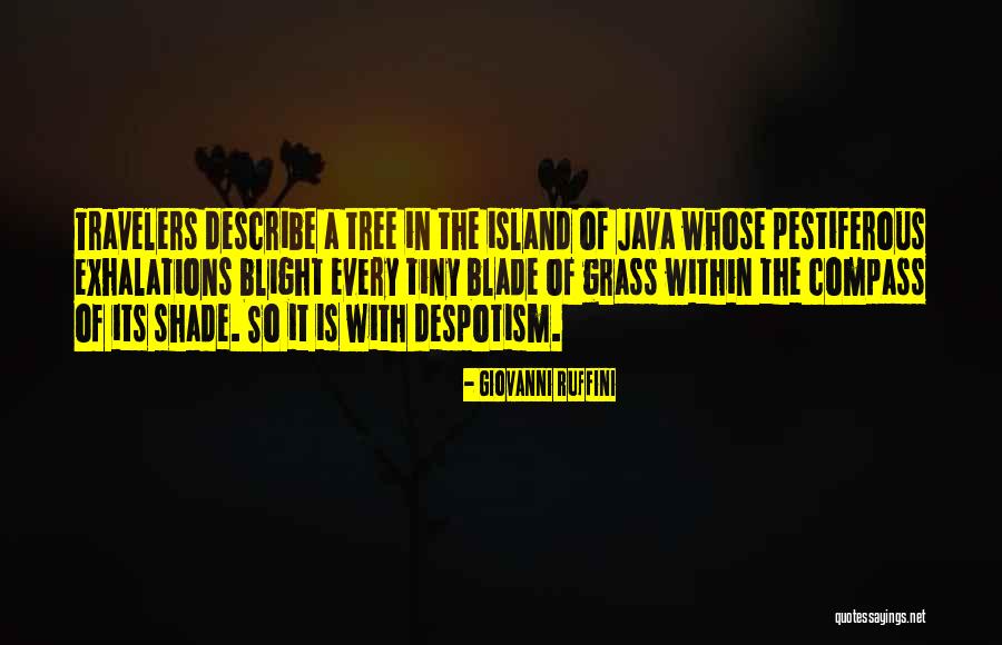 Island Quotes By Giovanni Ruffini