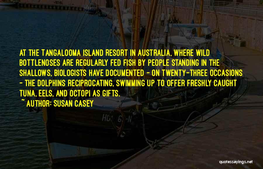 Island Resort Quotes By Susan Casey