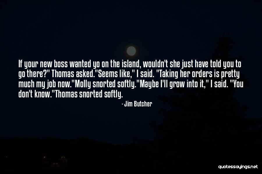 Island The Quotes By Jim Butcher Island The Quotes By Jim Butcher