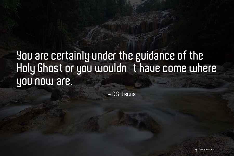 Islauzoparapija Quotes By C.S. Lewis Islauzoparapija Quotes By C.S. Lewis