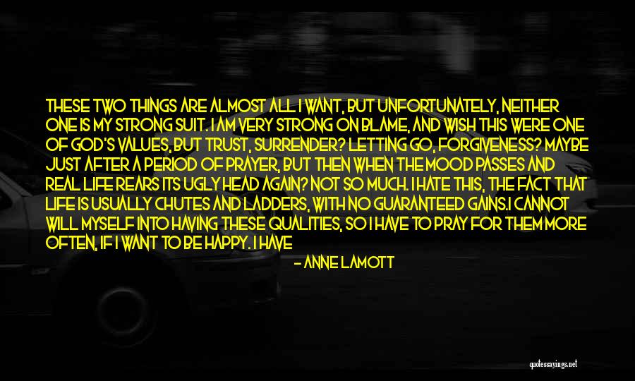 Ismael Soto Quotes By Anne Lamott Ismael Soto Quotes By Anne Lamott