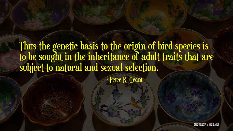 Ismahan Abdulahi Quotes By Peter R. Grant Ismahan Abdulahi Quotes By Peter R. Grant