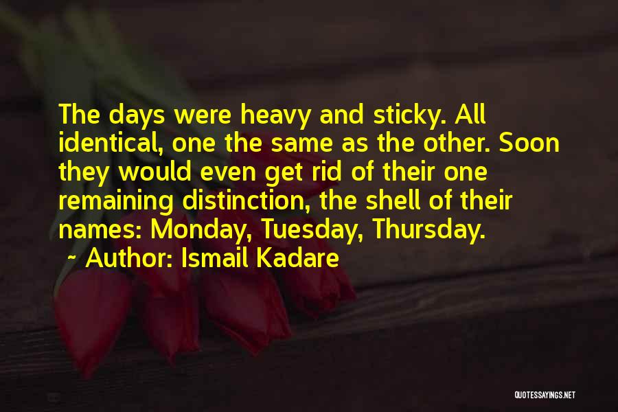 Ismail Kadare Quotes 218369