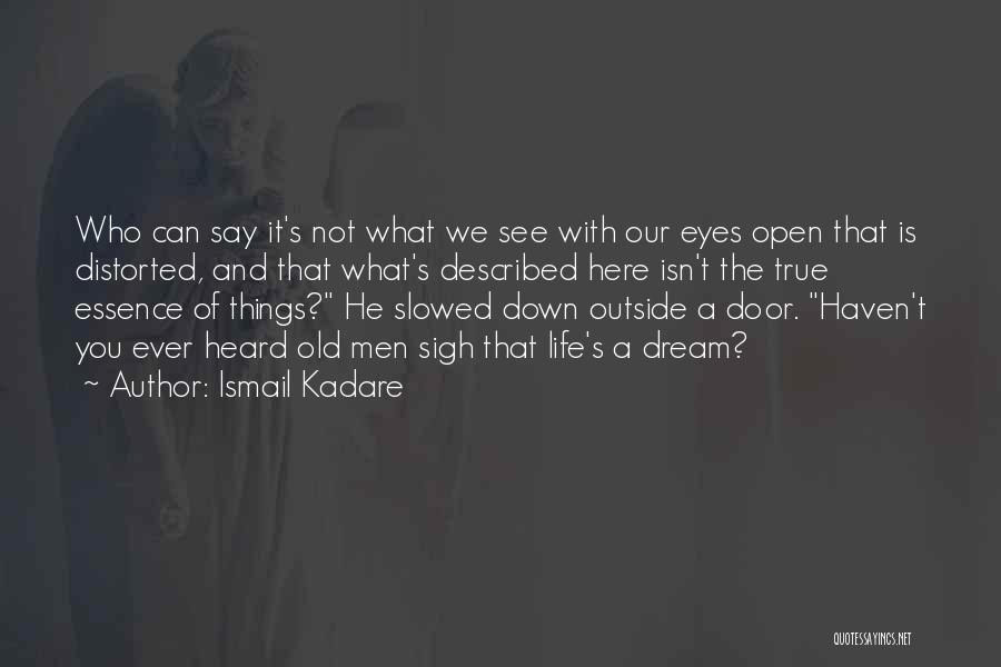 Ismail Kadare Quotes 991672