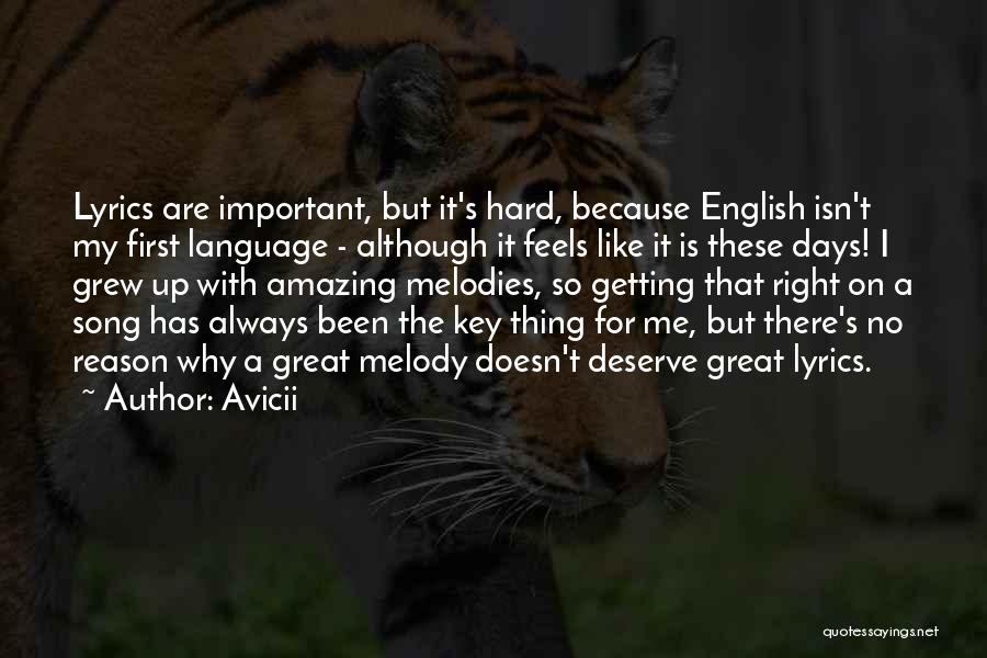 Isn't It Amazing Quotes By Avicii