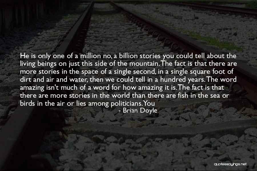 Isn't It Amazing Quotes By Brian Doyle Isn't It Amazing Quotes By Brian Doyle