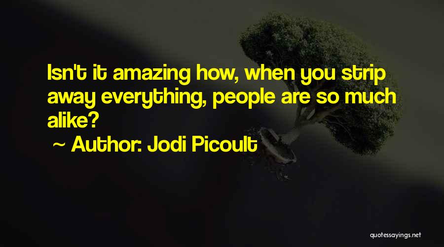Isn't It Amazing Quotes By Jodi Picoult