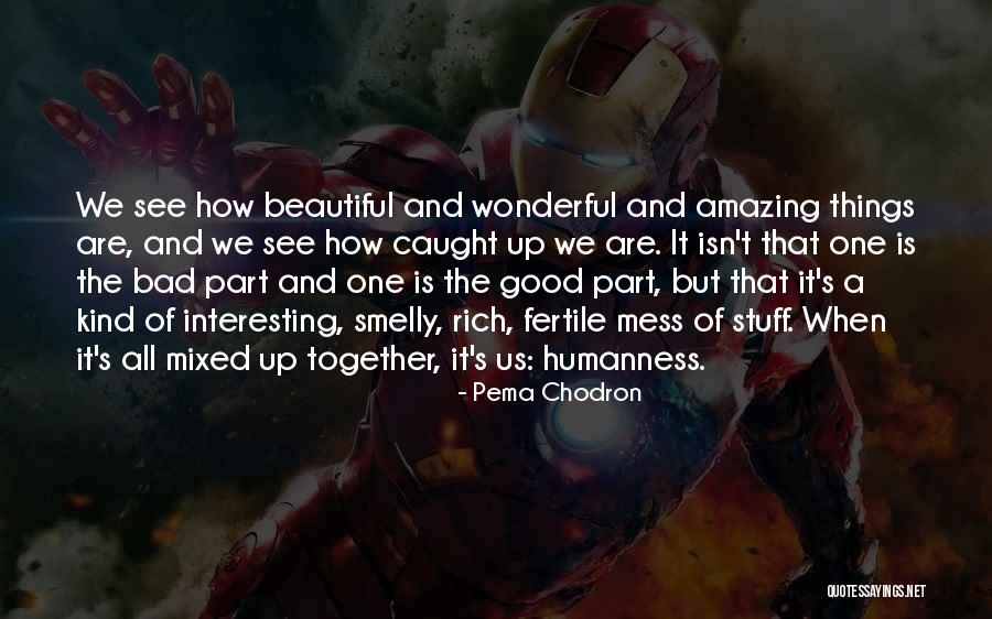 Isn't It Amazing Quotes By Pema Chodron Isn't It Amazing Quotes By Pema Chodron