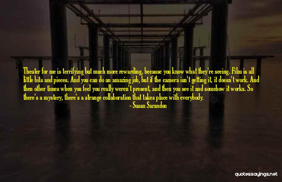 Isn't It Amazing Quotes By Susan Sarandon