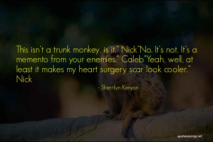 Isn't It Funny Quotes By Sherrilyn Kenyon