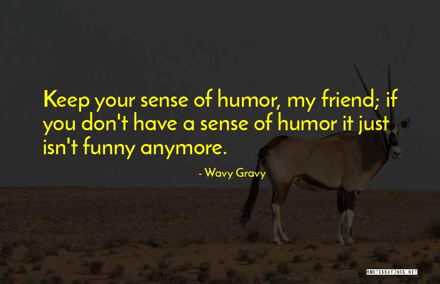 Isn't It Funny Quotes By Wavy Gravy