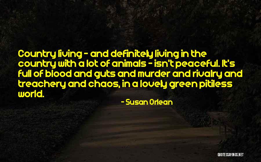 Isn't She Lovely Quotes By Susan Orlean