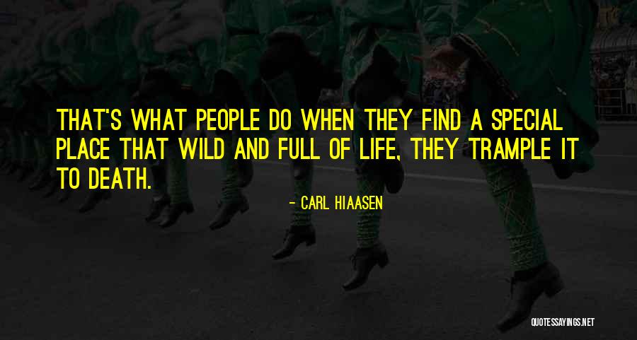 Isoladores Quotes By Carl Hiaasen Isoladores Quotes By Carl Hiaasen