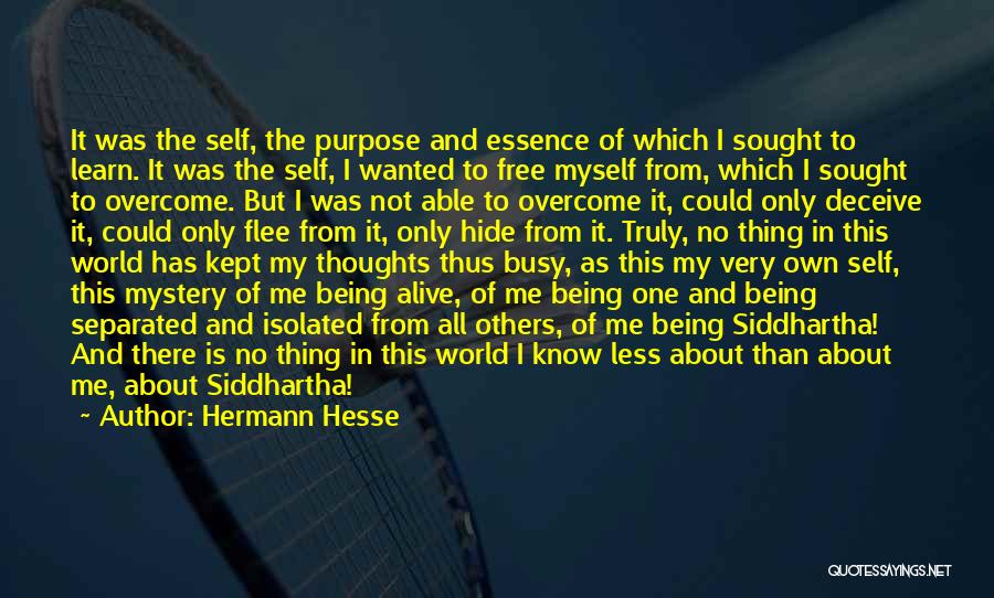 Isolated Self Quotes By Hermann Hesse