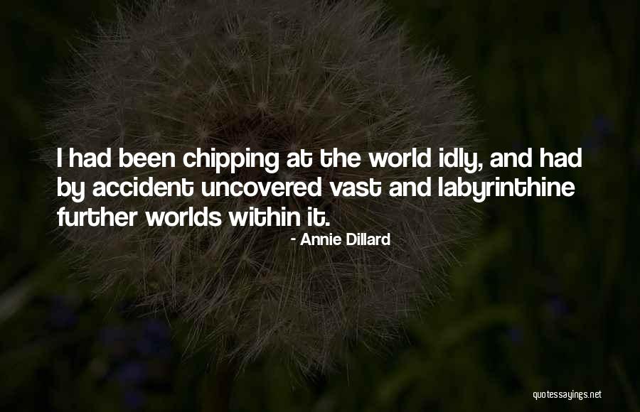 Isomeric Industries Quotes By Annie Dillard Isomeric Industries Quotes By Annie Dillard