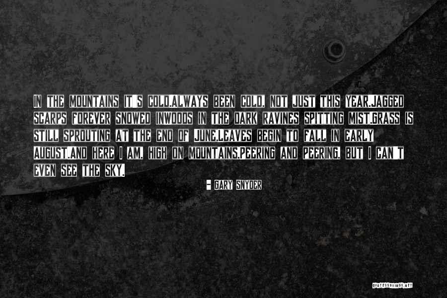 Ispits Quotes By Gary Snyder Ispits Quotes By Gary Snyder