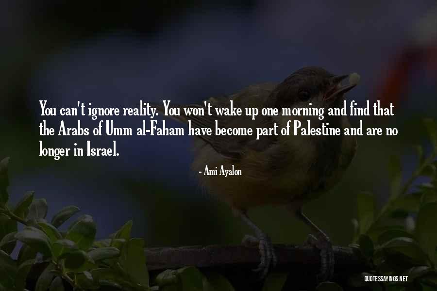 Israel And Palestine Quotes By Ami Ayalon