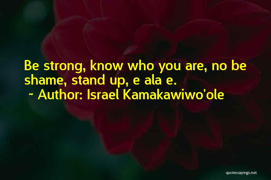 Israel Kamakawiwo'ole Quotes 1439902