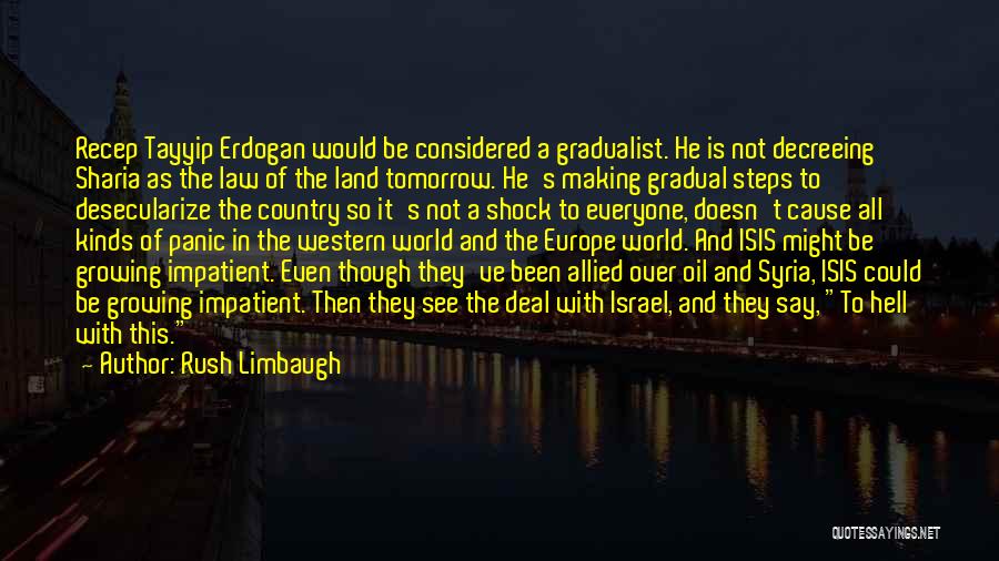 Israel Quotes By Rush Limbaugh